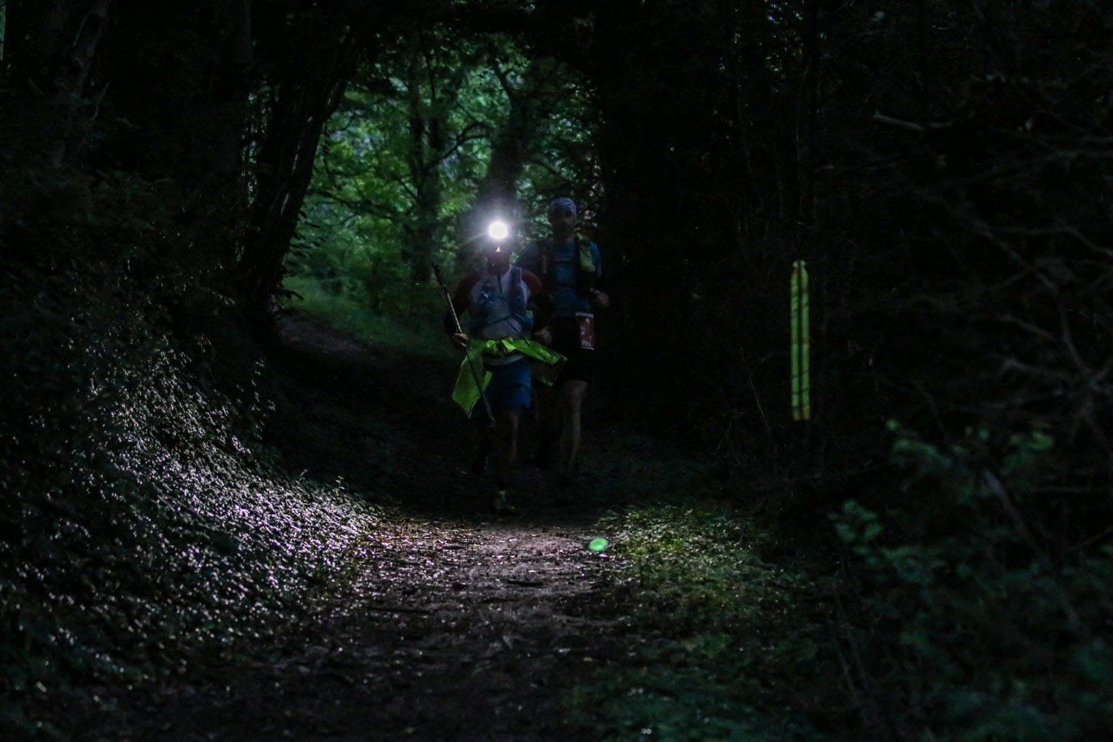 Courir la nuit – Entre silence et sensations