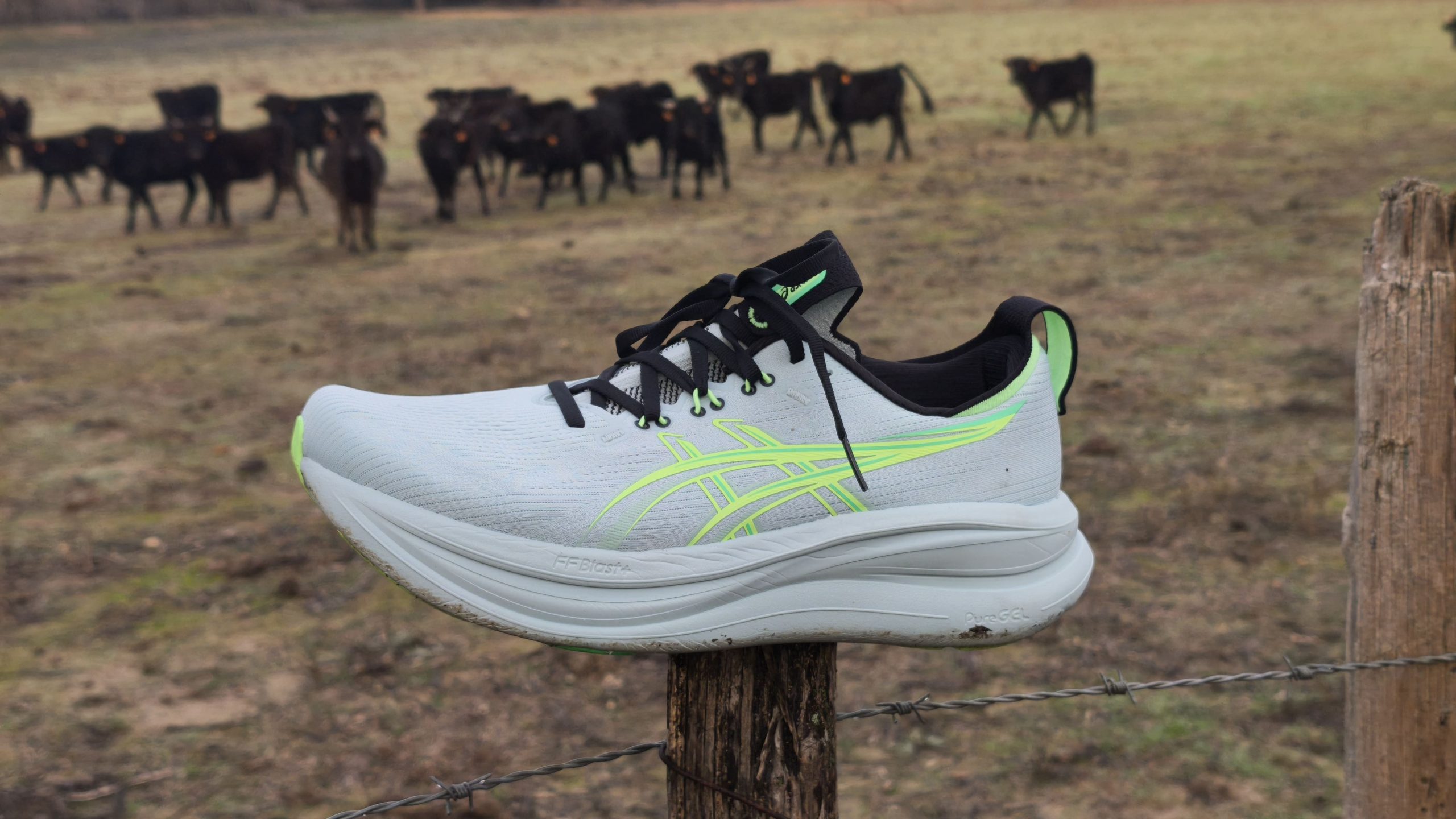 ASICS Nimbus 28 : un chausson pour courir longtemps