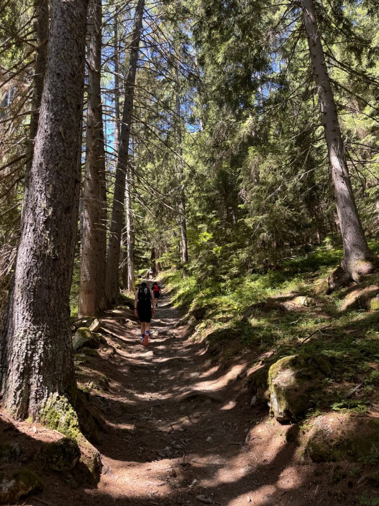 Week-end trail Altra 2026