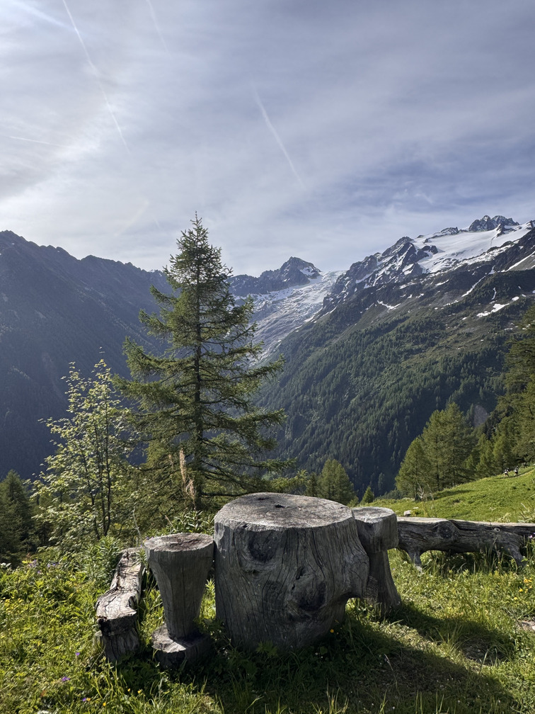 Week-end trail Altra 2026