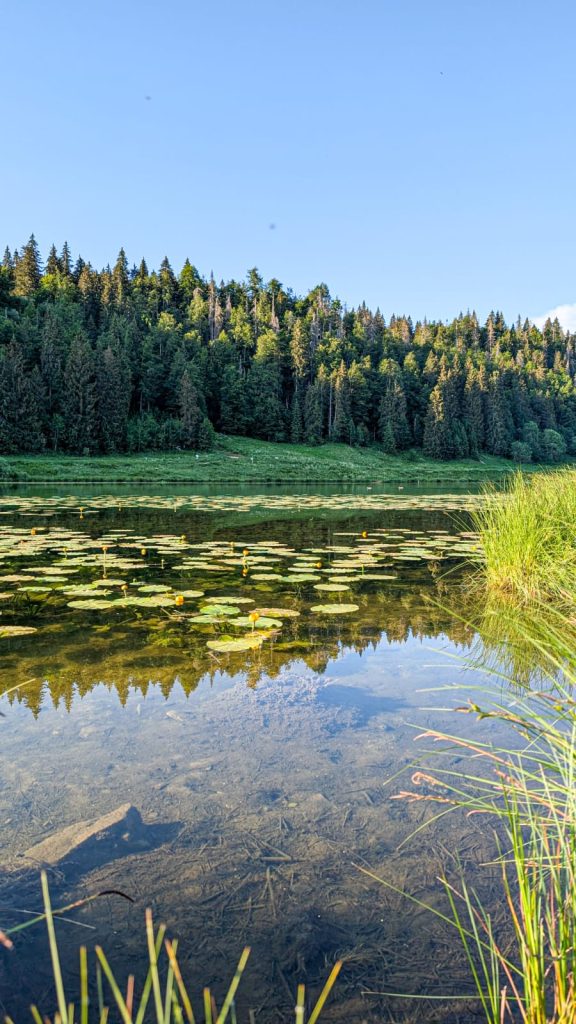 Parc naturel régional du Haut-Jura
