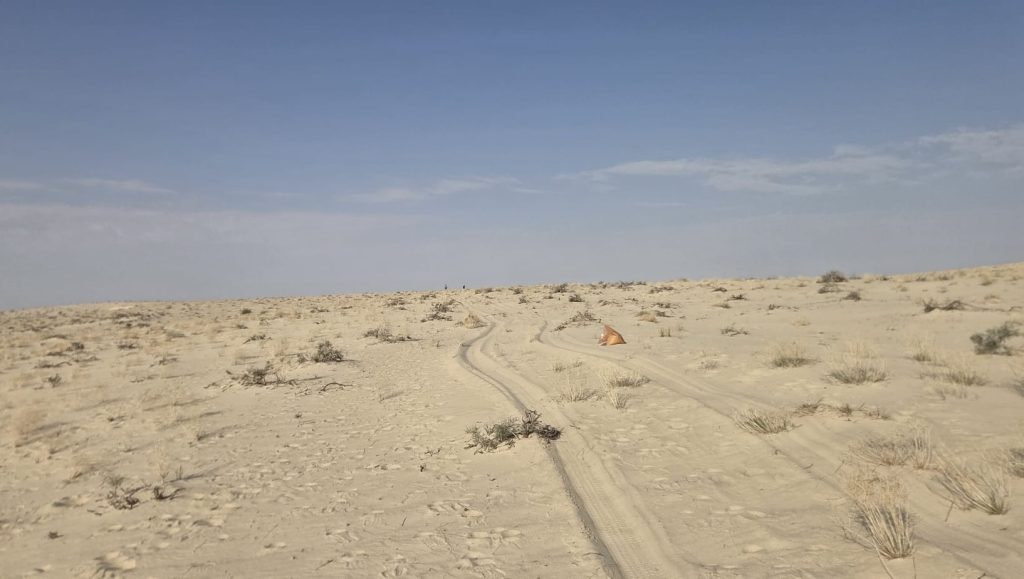 Ultra Mirage 2026 : Yassine Zouaoui au courage